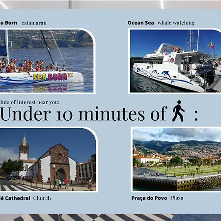 Apartment Social Happiness Funchal (Madeira)